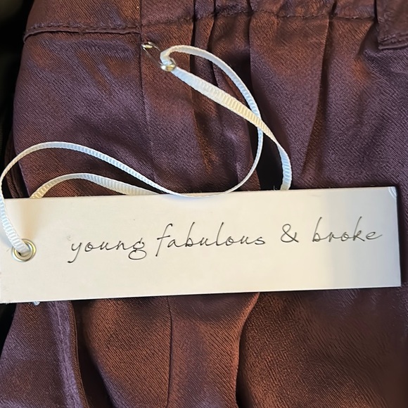 NWT Young Fabulous & Broke Findlay Satin Cargo Carpenter Pants in Raisin - M - Picture 13 of 16